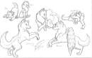 group (uncolored)