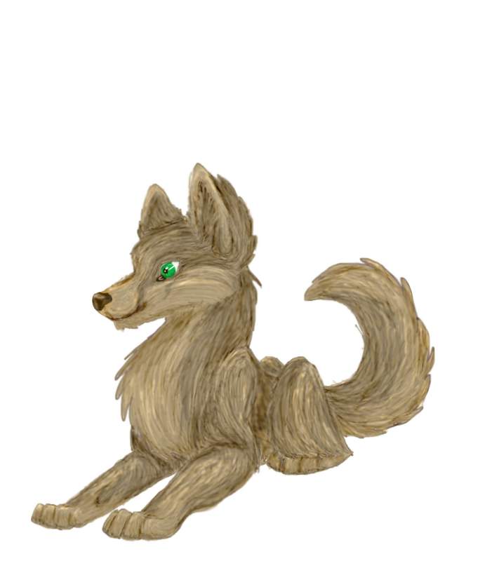 Fur