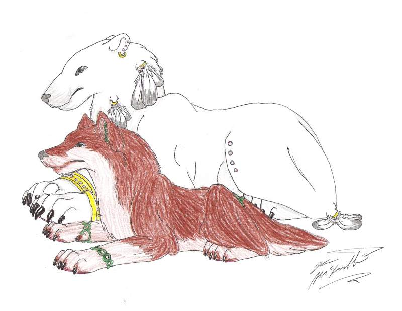 Celtic wolf and Mystic bear