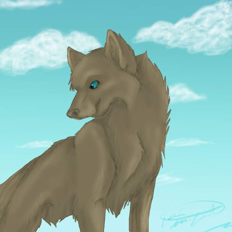 wolf in the cloudso one in particular.