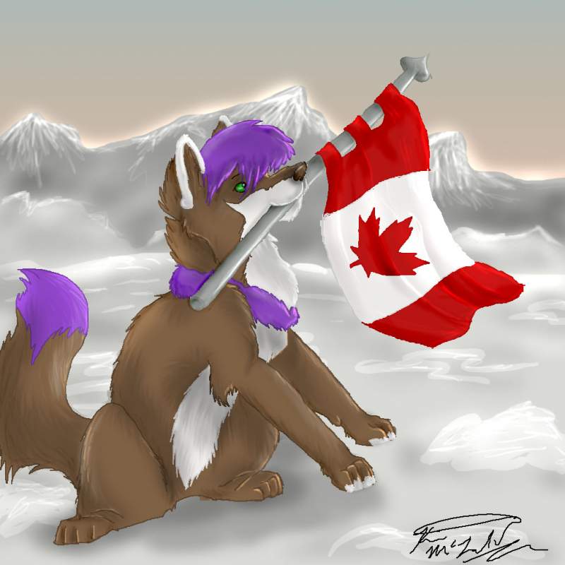 Canadian Wolf