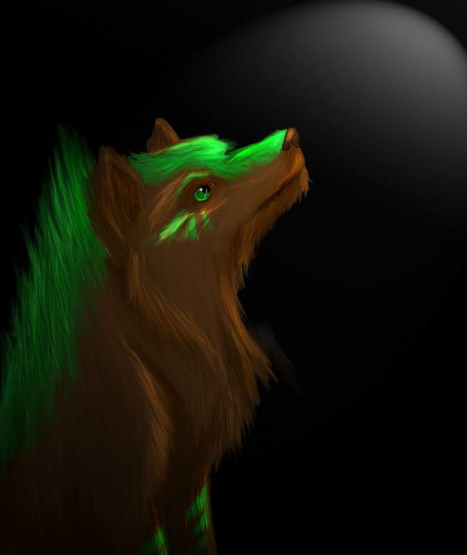 Lost in the Dark