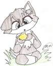 Chibi Rukie
