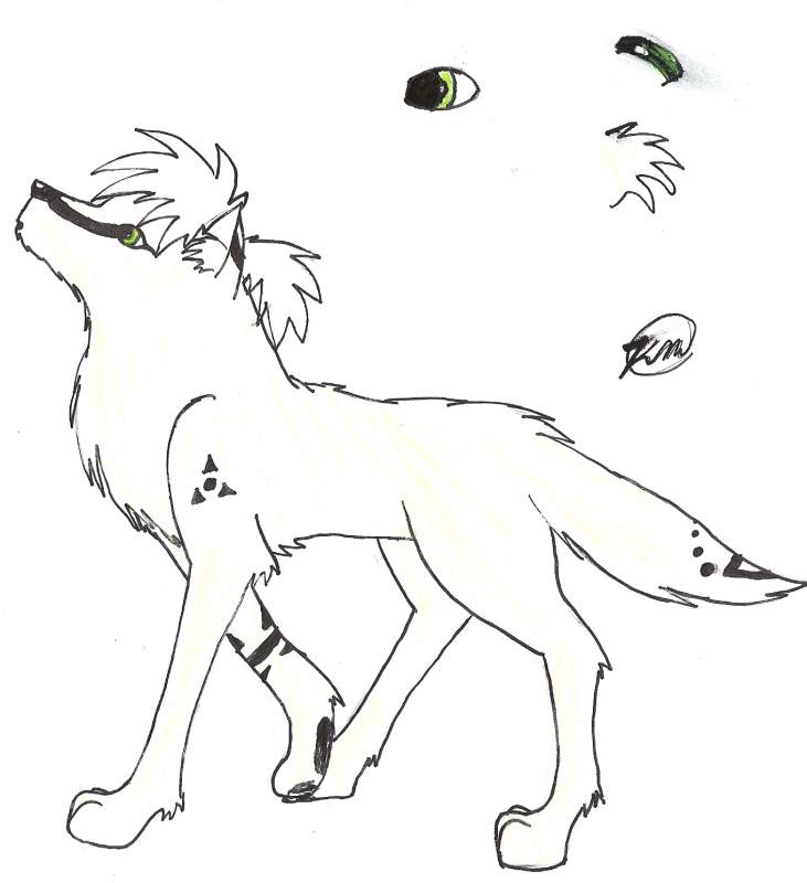 Kimba
