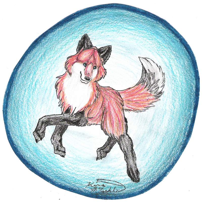 Blue fox