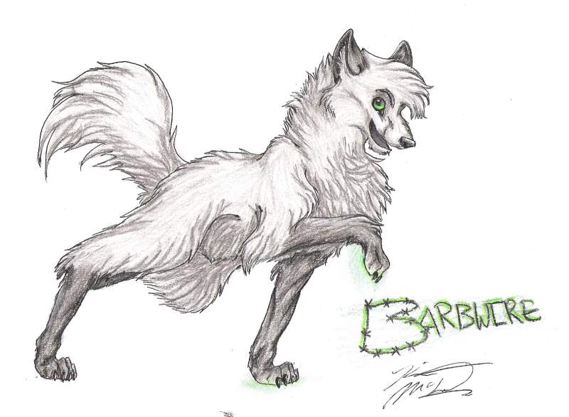 Barbwire