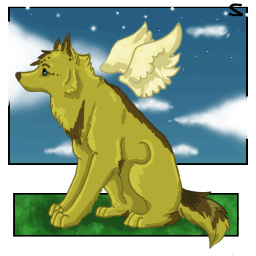 Sun-wing animation