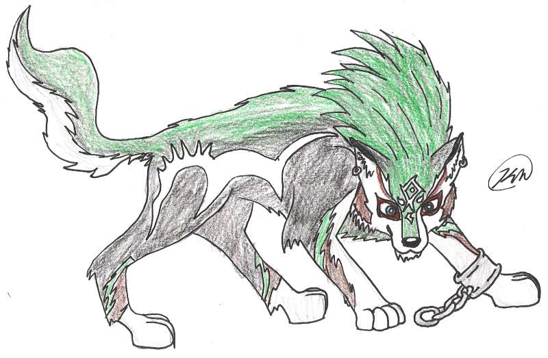 Link from Twilight Princess
