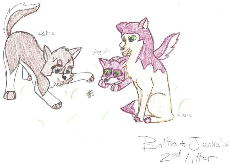 Balto and Jenna's Second Litter
