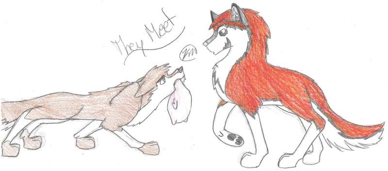 They meet