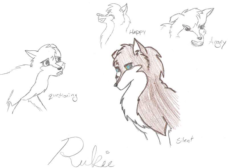Rukie