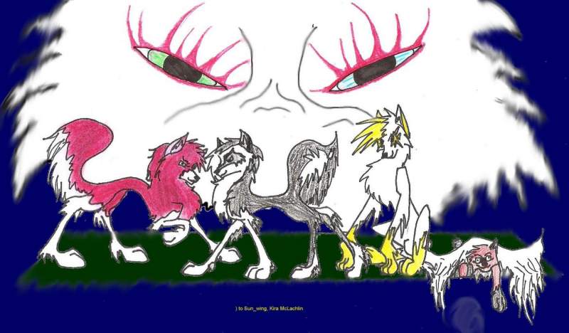Cover Colored