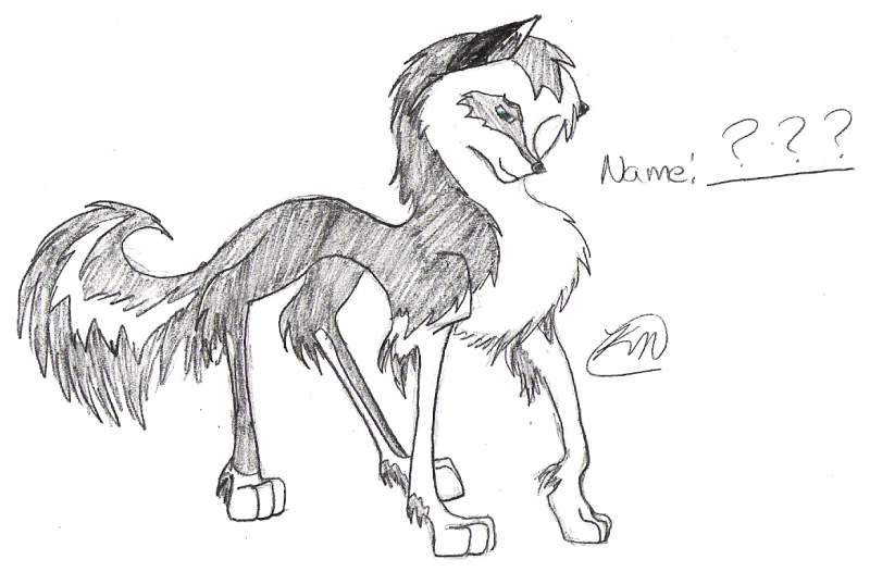 PLEASE NAME HIM!!!!!!!!