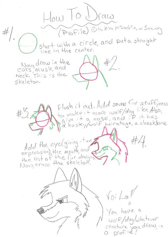 How to Draw, Profile