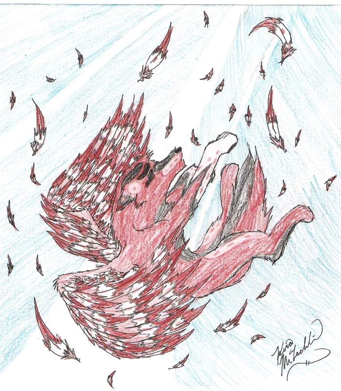 Falling without my wings