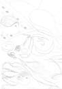 wolf pic