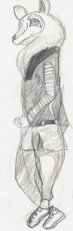 wolf in clothes