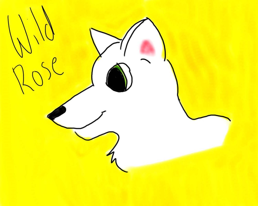 Wild Rose the wolf