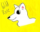 Wild Rose the wolf