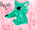 Aquamist the wolf