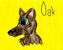 Oakleaf the wolf