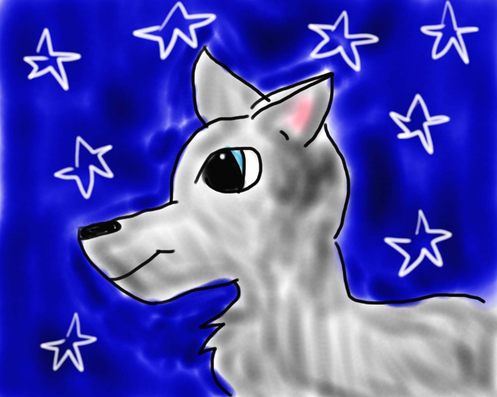 Silvermist at night