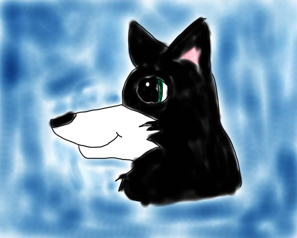 mockingjay the wolf