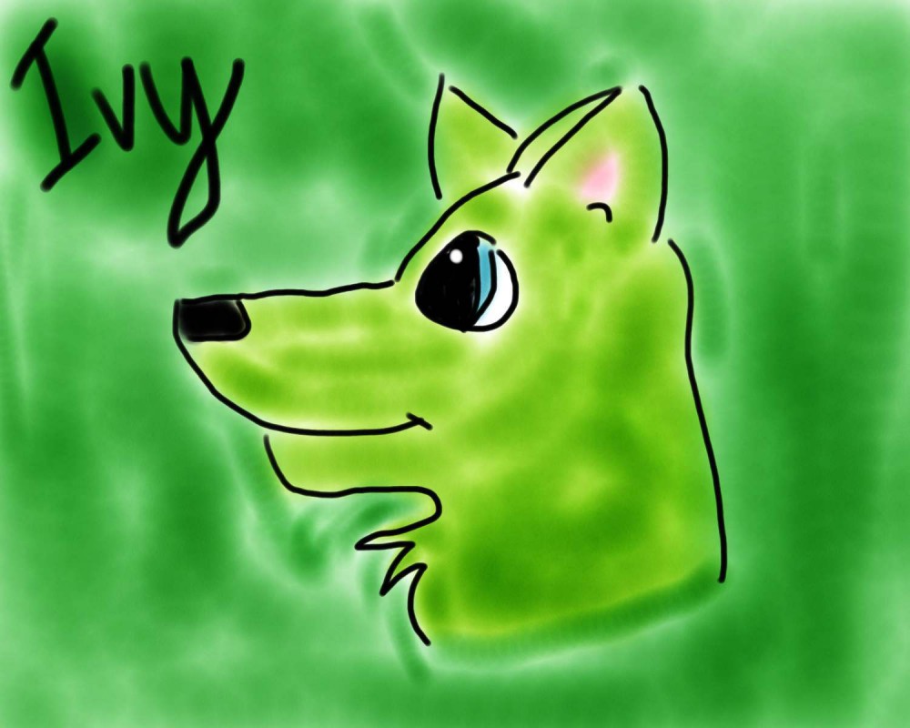 Ivy the wolf