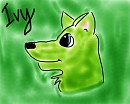 Ivy the wolf