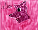 Saffron the wolf
