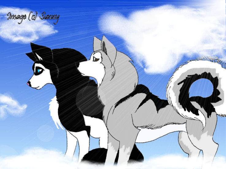 Blue~sky