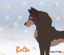 ~Hero~