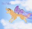 ~Sky High~