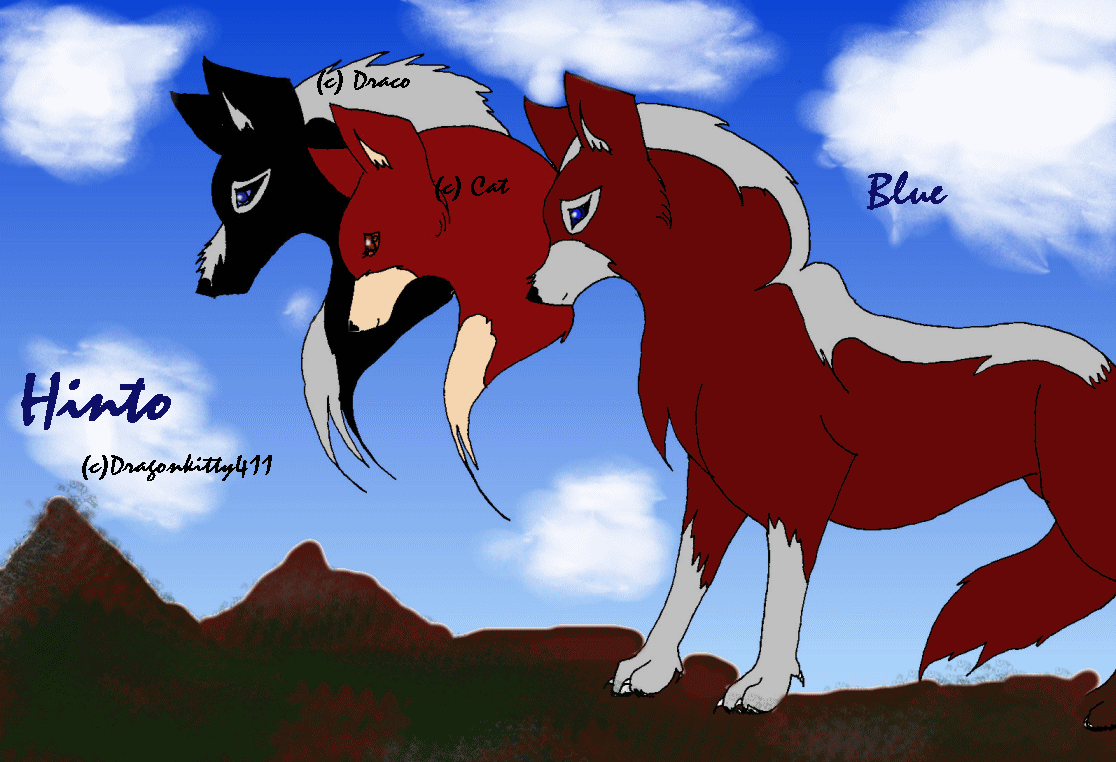*New contest entry pic*