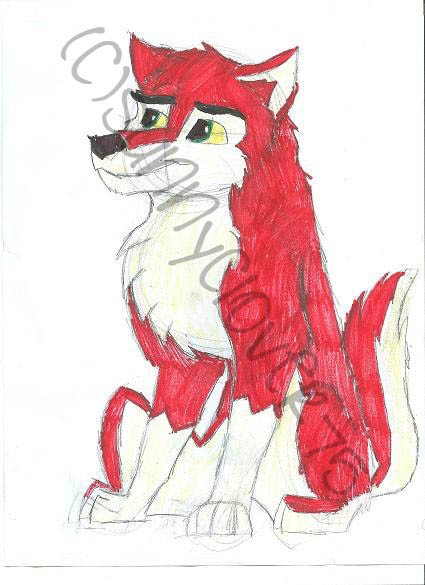 Duke