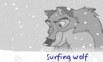 surfing wolf