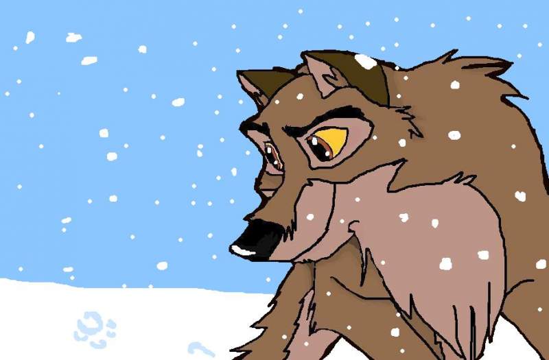 balto in the snow