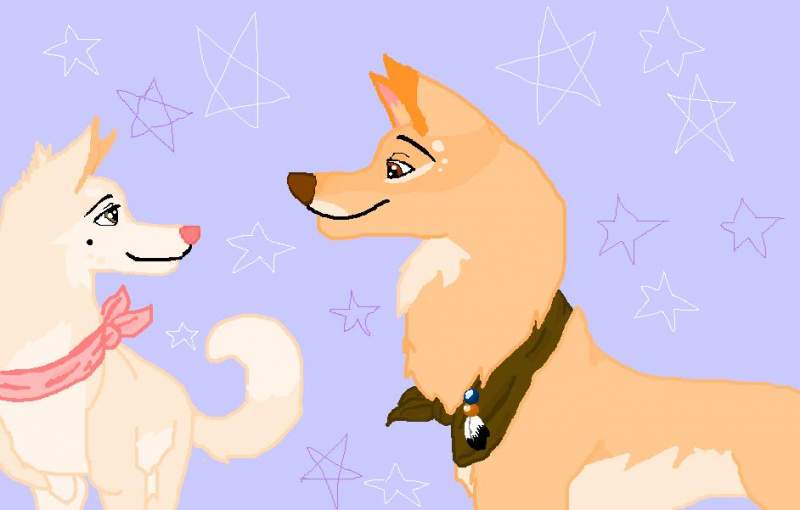 Riley and missy in stars