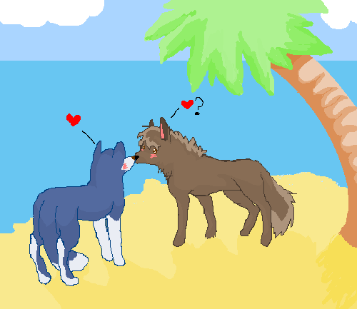 love or not :0