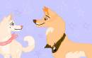Riley and missy in stars