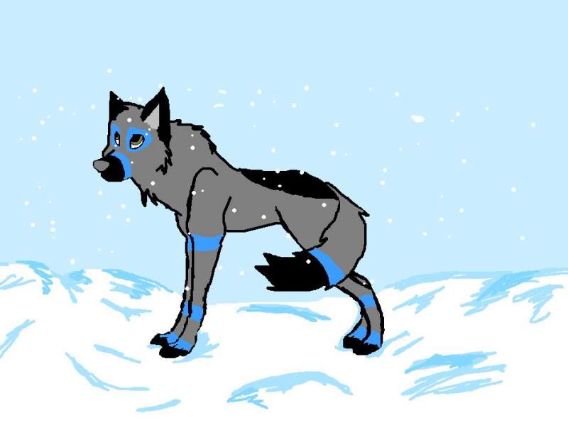 snow (c)for snowboarder doby