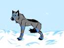 snow (c)for snowboarder doby