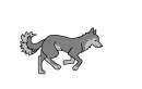 pic for animation
