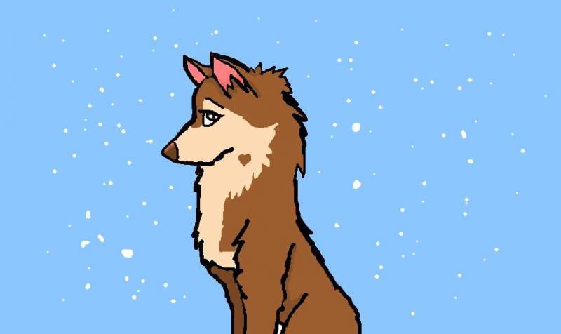 surfing wolf