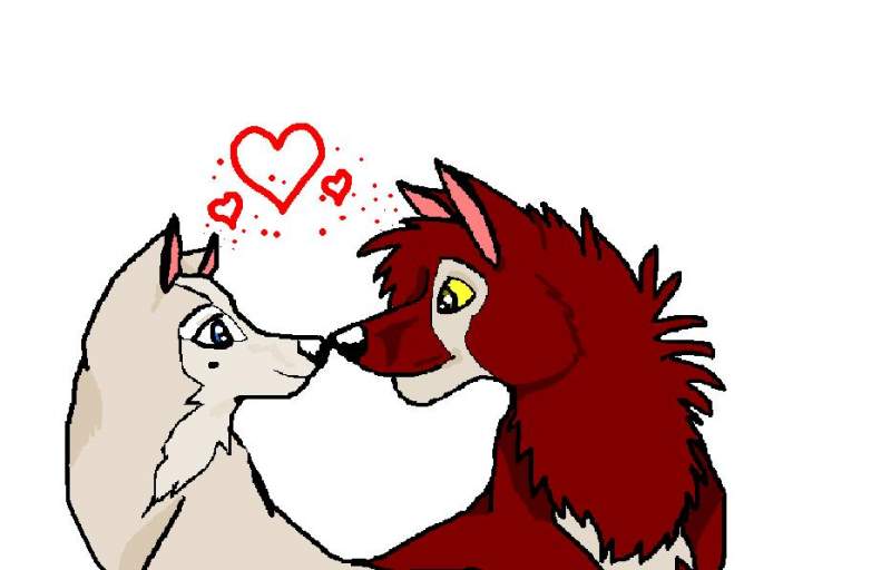 will and sasha in love