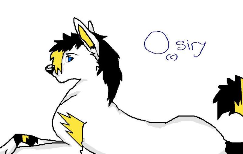 osiry (c) for marta