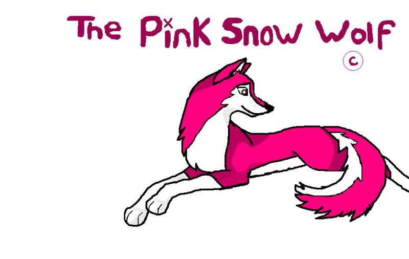 for the pink snow wolf (c)