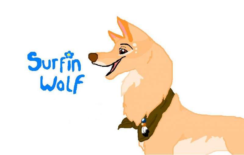riley surfin wolf