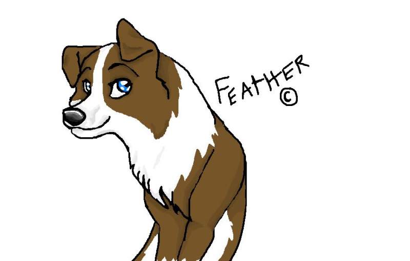 to brunt feather dust (c) feather