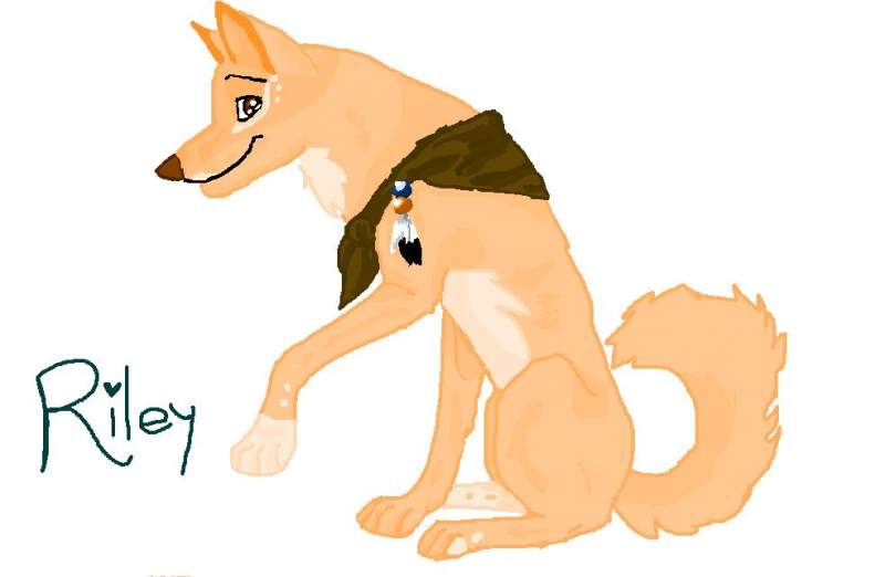 this is riley for the lone wolf
